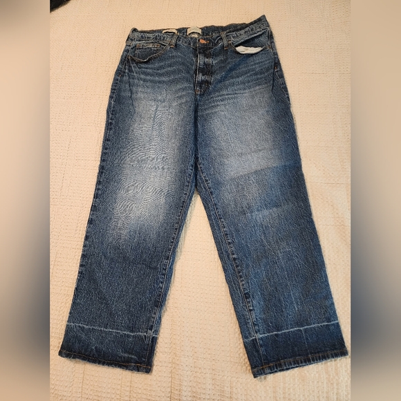 Universal Thread Denim - Universal Thread Women's Vintage Straight Classic Blue Denim Jeans Size 16R/33